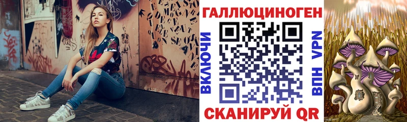 Псилоцибиновые грибы Cubensis  Нижнеудинск 