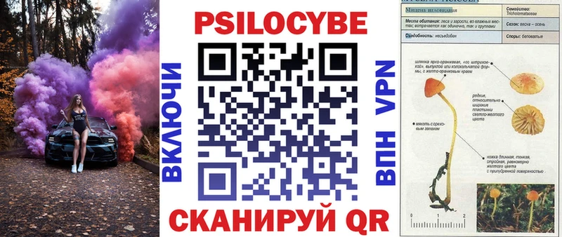 Галлюциногенные грибы Psilocybine cubensis Нижнеудинск