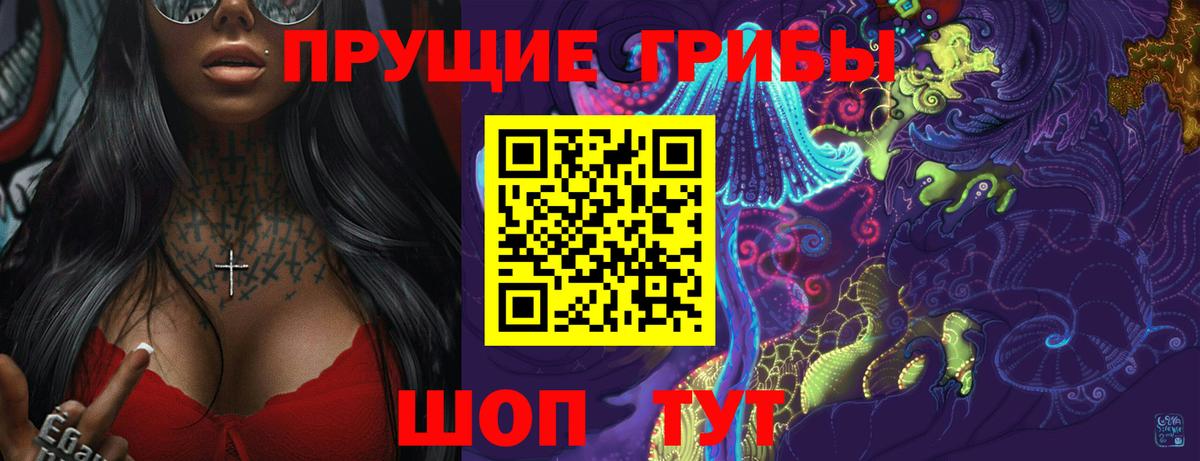 Галлюциногенные грибы Psilocybe Нижнеудинск